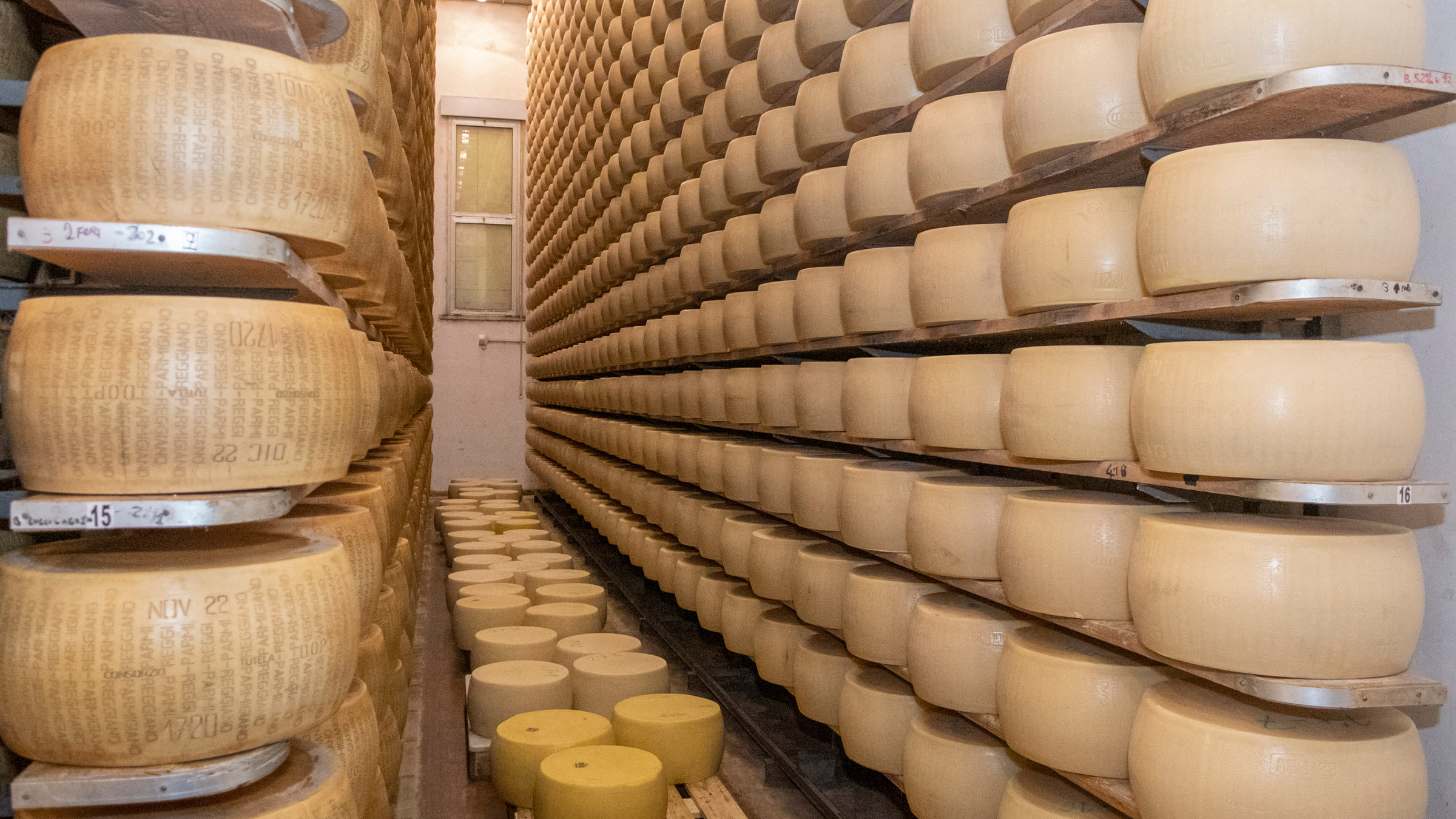 Il magazzino di stagionatura, la corsia fra le scalere